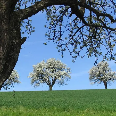 Cacilia Familie Wilfinger Poellau